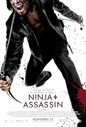 Ninja’nın İntikamı